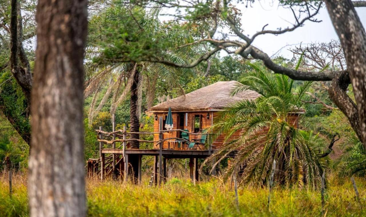 Mansa Musso Lodge Sanyang Exterior foto